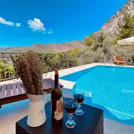 Villa Amazing W Private Pool Bbq In Gocek (Fethiye)